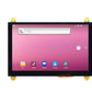 W500 5inch LCD Display with Capacitive Touch